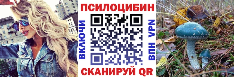 Псилоцибиновые грибы MAGIC MUSHROOMS  hydra как войти  Кочубеевское 